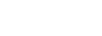 Rapidoc